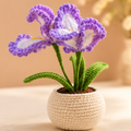 Purple and white crochet iris flowers with green leaves in a cream crochet pot, shown from multiple angles.
