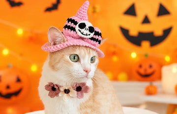Handmade Crochet Halloween Pet Hat for Cats & Small Dogs