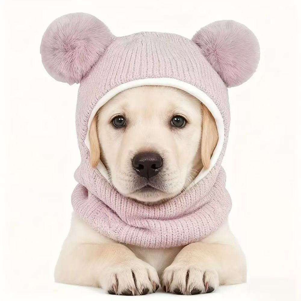 Dog wearing a pink knitted hood with two pom-poms