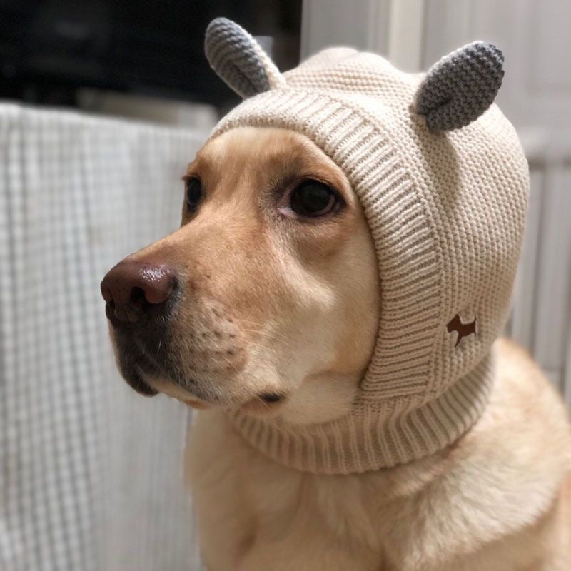 Side view of a dog wearing a cream knitted hood with gray animal ears.