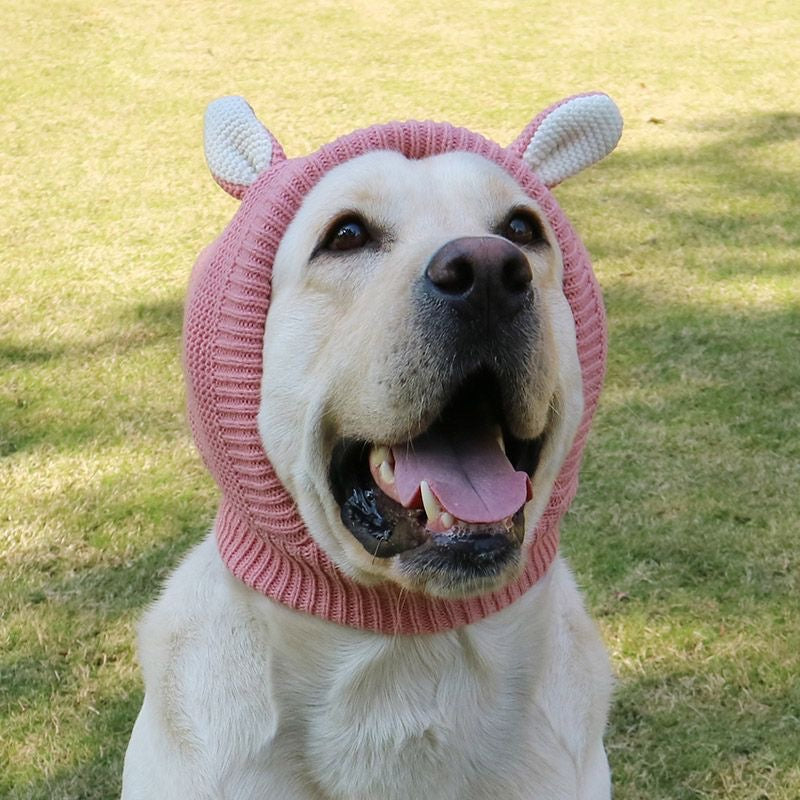 Dog wearing a pink knitted animal ear hood outdoors.