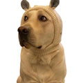 Dog wearing a cream knitted animal ear hood with gray ears.