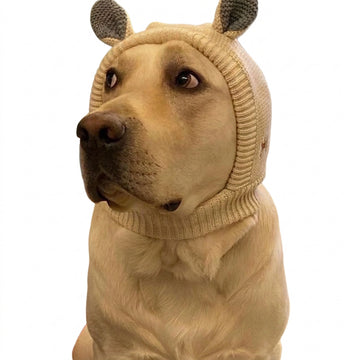 Dog wearing a cream knitted animal ear hood with gray ears.
