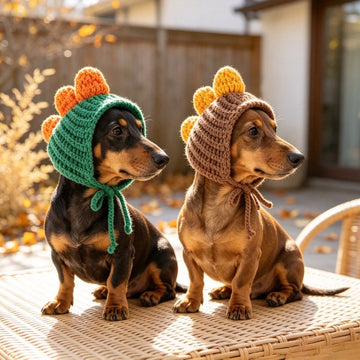 Two dogs wearing handmade dinosaur hats in green with orange spikes and brown with yellow spikes.