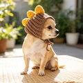Small tan dog wearing a brown dinosaur hat with yellow spikes.