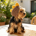 Yorkshire terrier wearing a brown knitted dinosaur hat with yellow spikes.