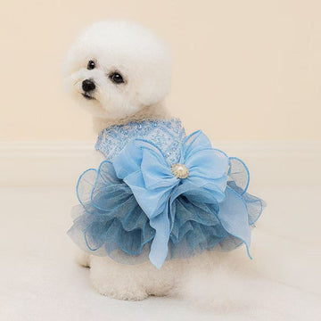 Blue Lace Tutu Dress for Dogs – Pearl Bow Princess Gown